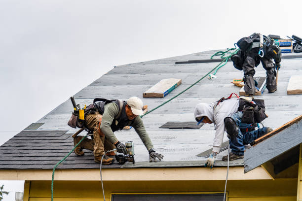 Professional Gutter Installation technician working in Midway, KY